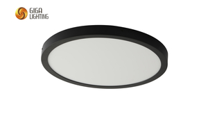 Lampada da pannello a LED di superficie standard europea Luci da bagno 3CCT DIP IP40 Rotonda ABS ultrasottile 